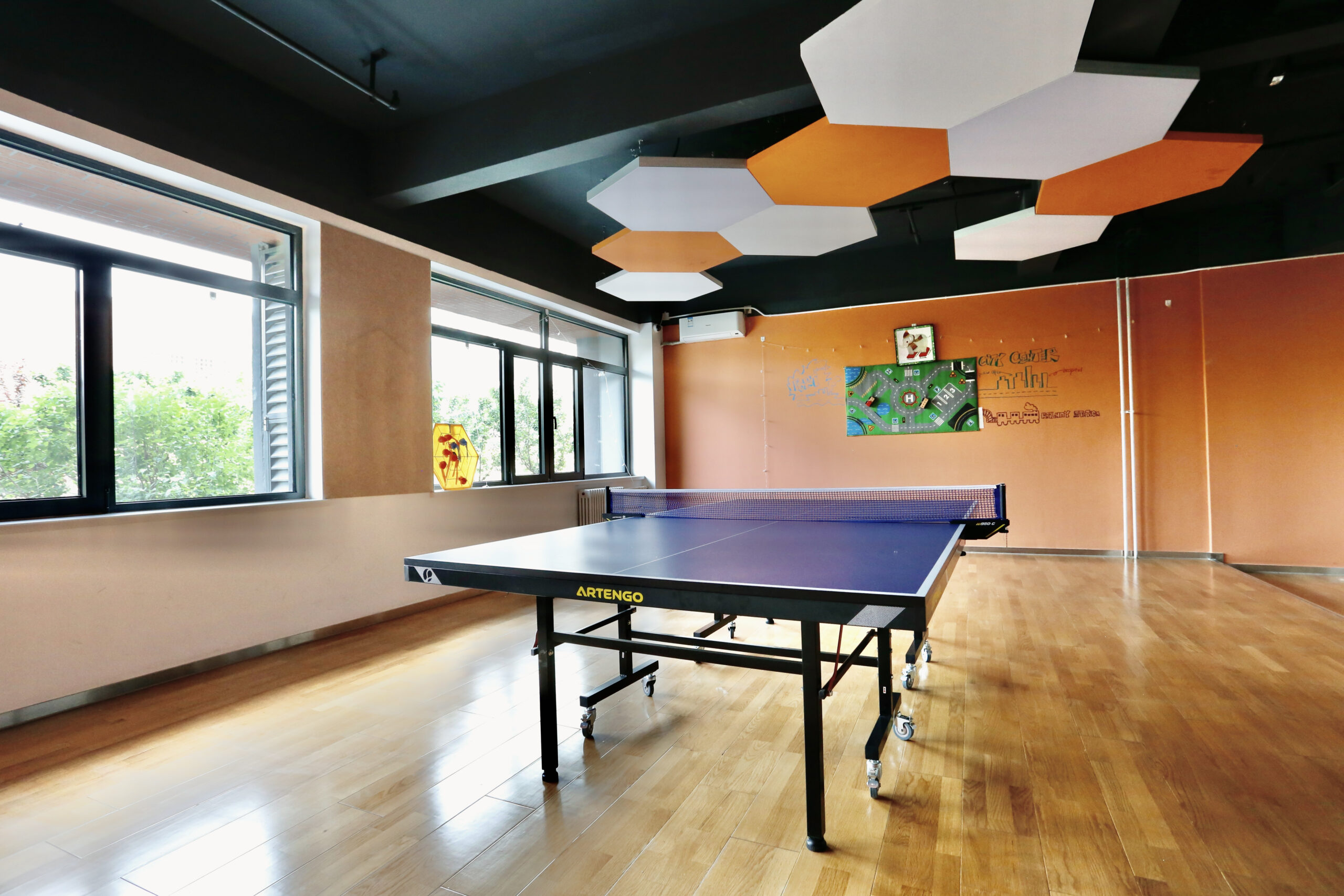 Table-tennis room